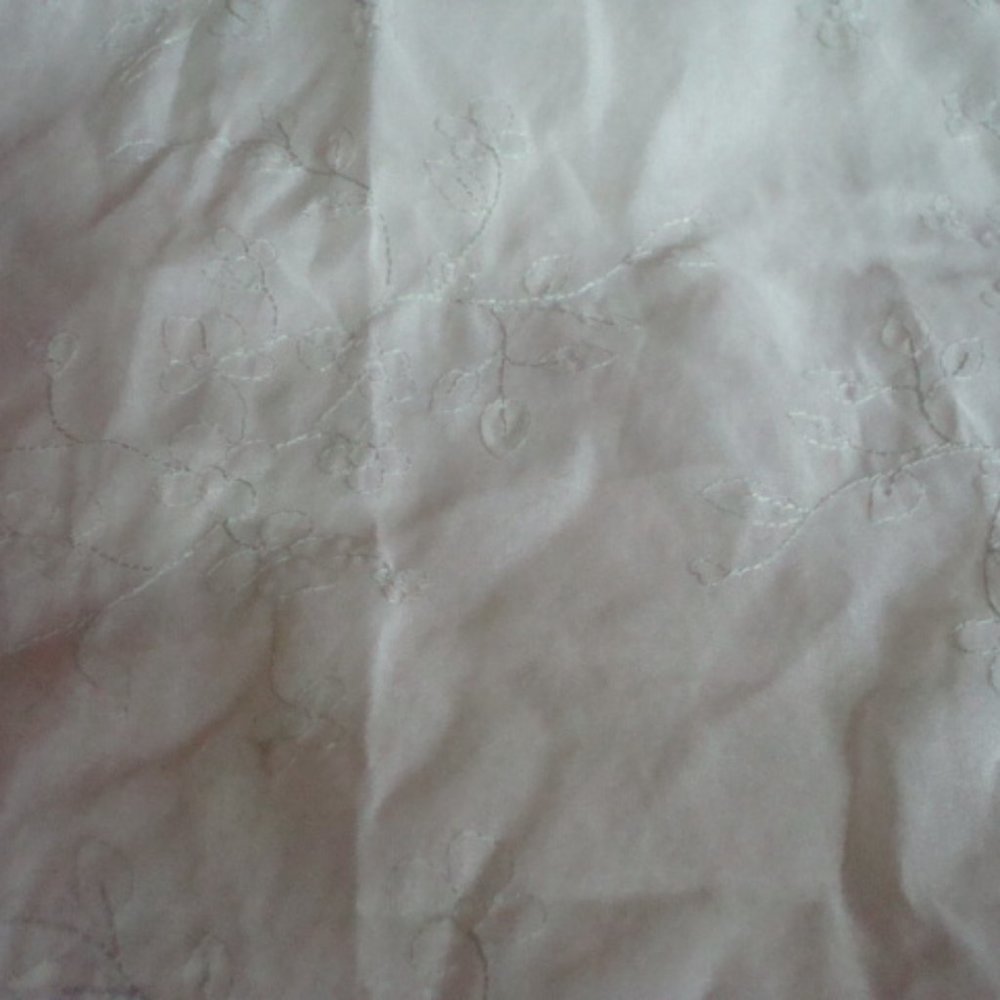 NWOT SET OF 2 SHEER CURTAIN PANELS W/NEEDLE EMBROIDERY